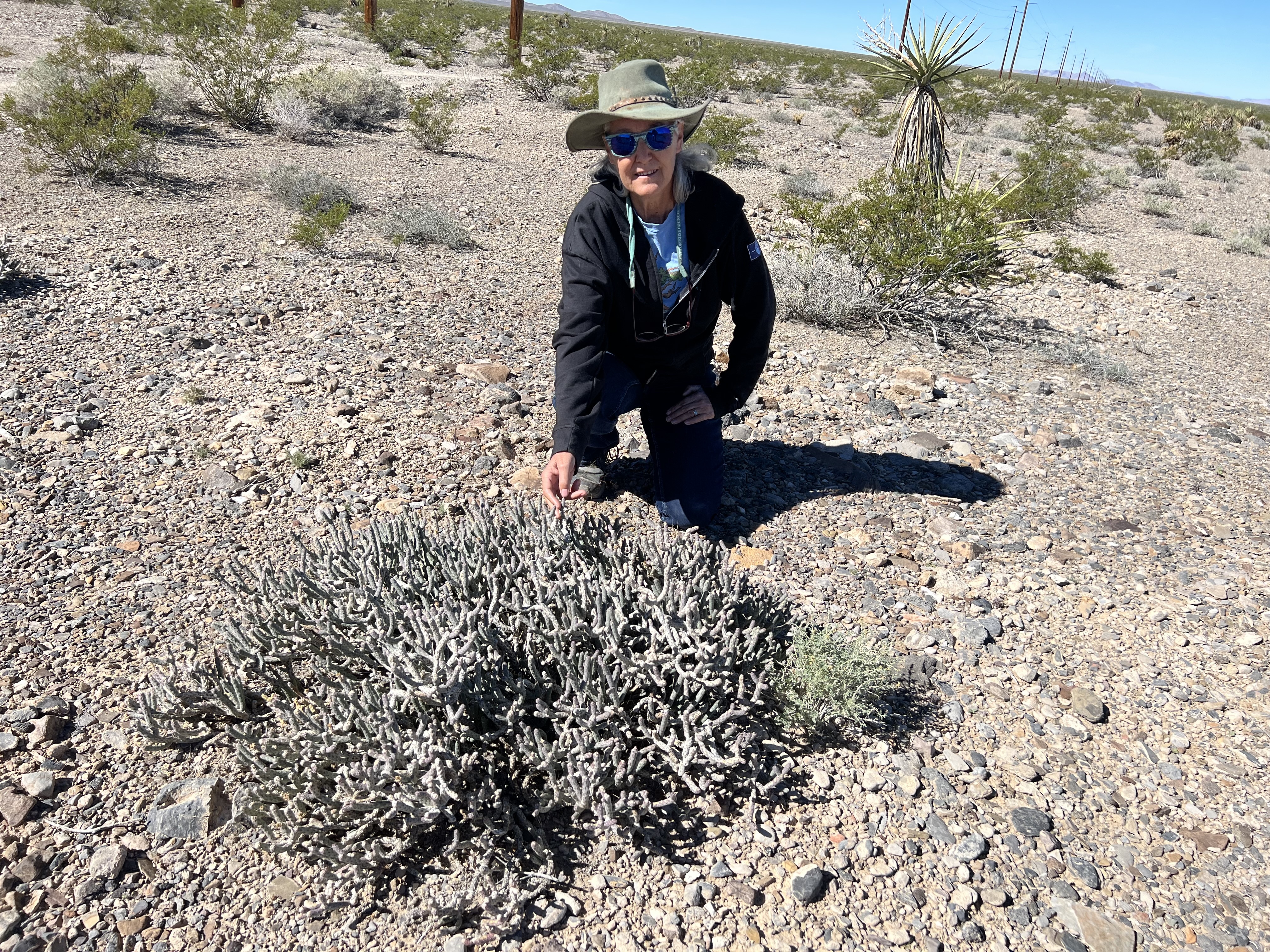 A woman kneels by a desert plant. A woman kneels by a desert plant.