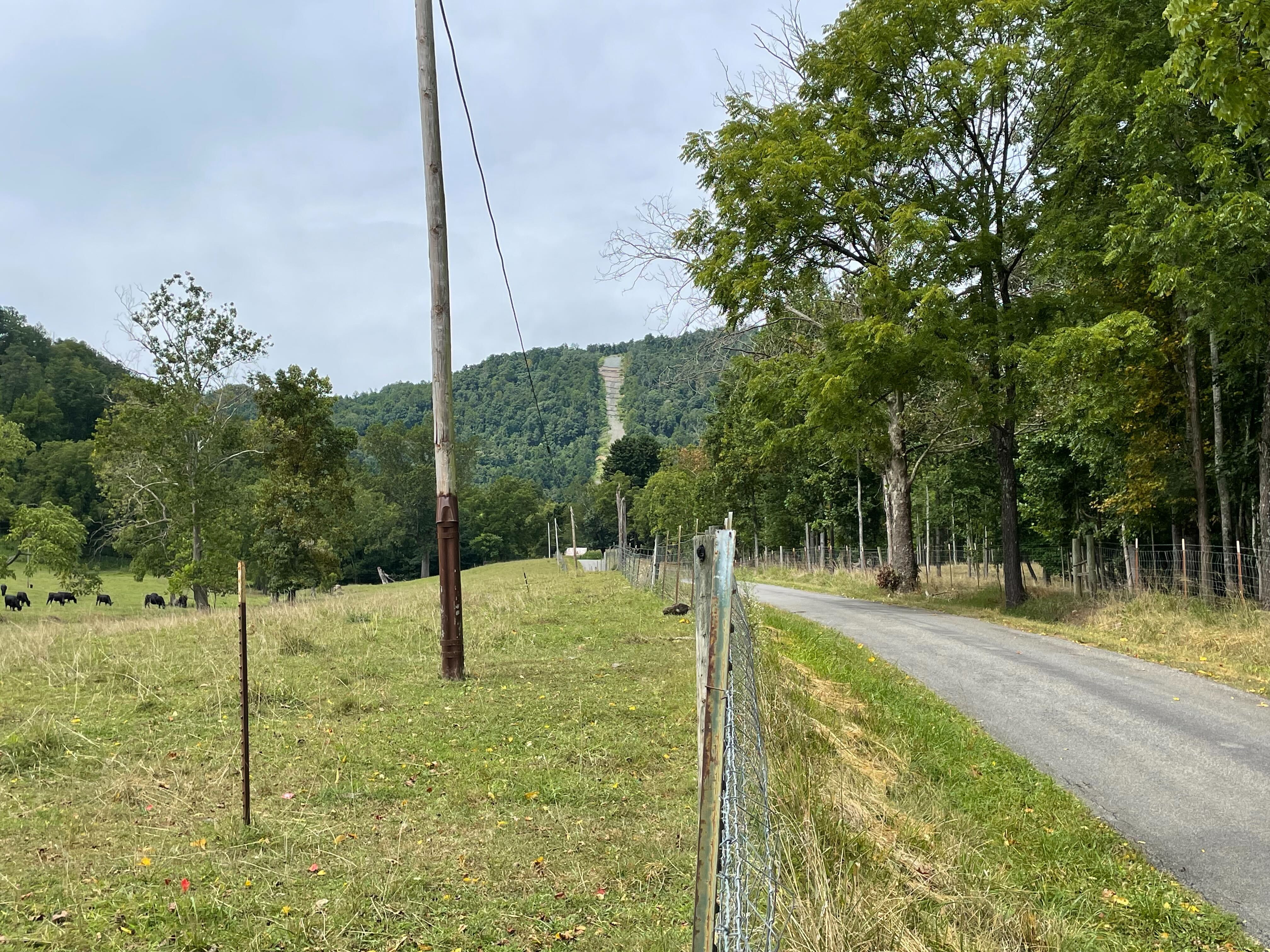 The cleared path of the Mountain Valley pipeline on a mountainside in Virginia’s Franklin County. The cleared path of the Mountain Valley pipeline on a mountainside in Virginia’s Franklin County.
